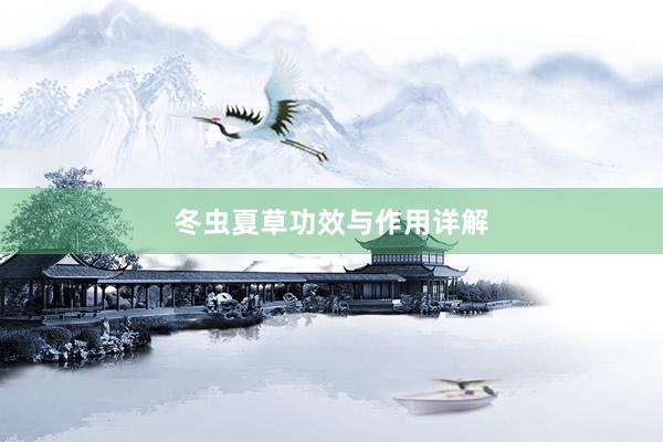 冬虫夏草功效与作用详解